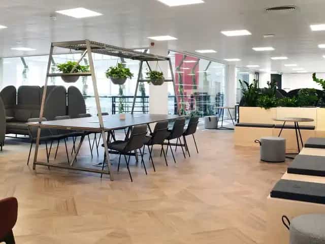 Background media image