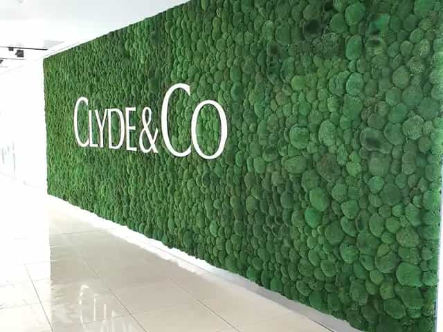 Background media image