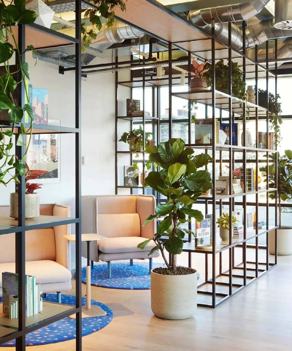Modern office space with open shelving, plants, cozy seating, and natural lighting. Decor includes books and art pieces, creating a welcoming atmosphere.