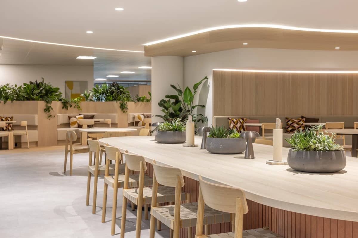 wooden seating at desks with desktop planting