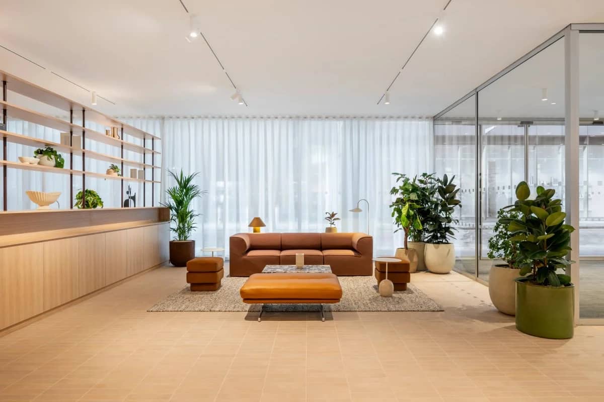 Modern office lounge with a brown sofa, ottomans, large rug, and indoor plants. Wooden shelves and glass divider complement the airy decor.