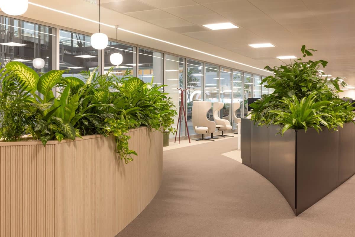 Curving walkway lined by integrated planting furniture