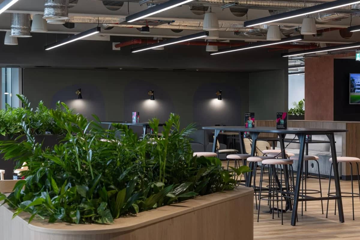 Modern office space with high tables, stools, and lush green plants. Overhead lighting and a TV screen in the background.