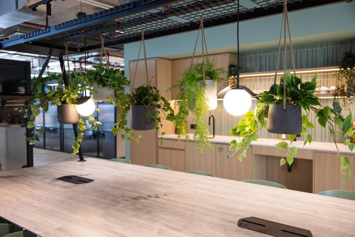 Hanging plants and modern light fixtures above a wooden table in a stylish, open-concept kitchen area with light wood cabinets and a sleek design.