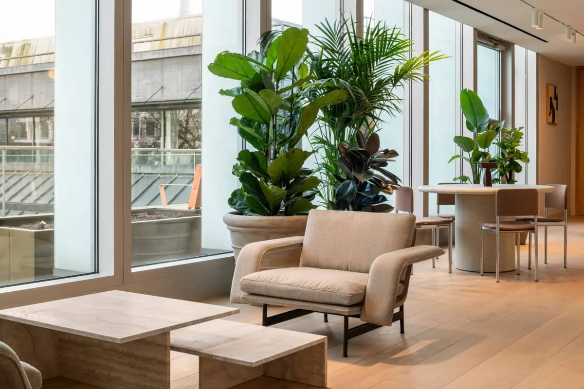Modern lounge with beige armchair, wooden coffee table, and dining set, surrounded by large potted plants near floor-to-ceiling windows.