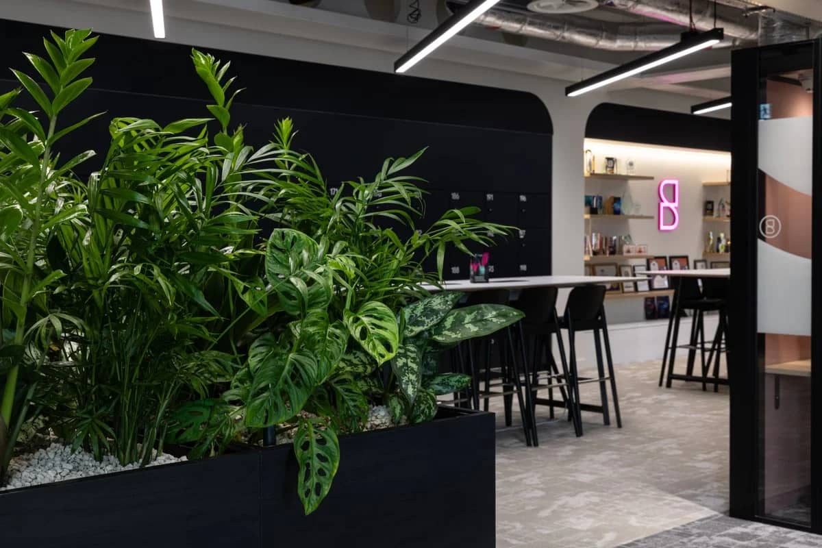 Modern office space with a large indoor plant, high tables with stools, and shelves displaying books and decor. Neon sign on the wall.