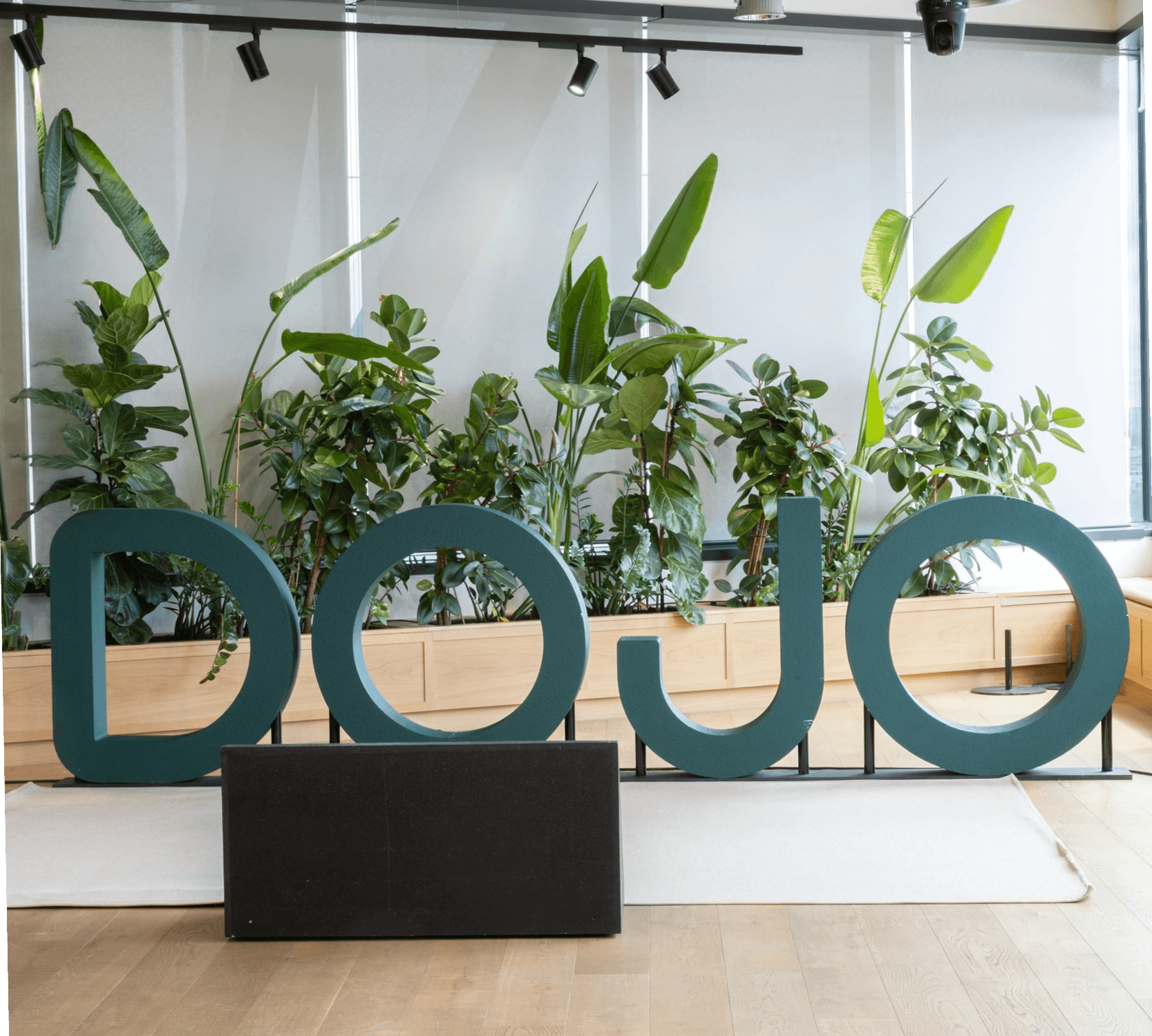 Large green letters spelling "DOJO" in front of potted plants and wooden benches in a modern interior space.