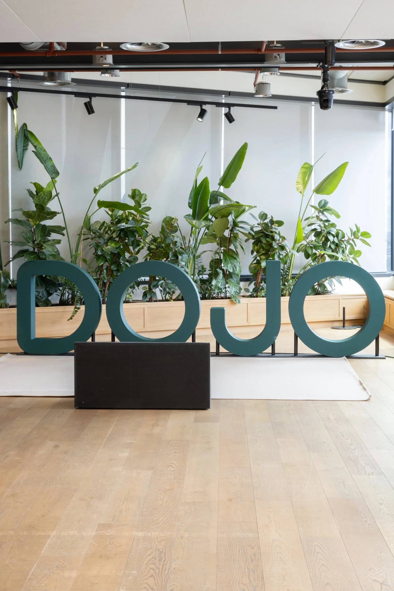 Large "DOJO" letters in front of lush green plants, set in a modern interior with a wooden floor and industrial ceiling.