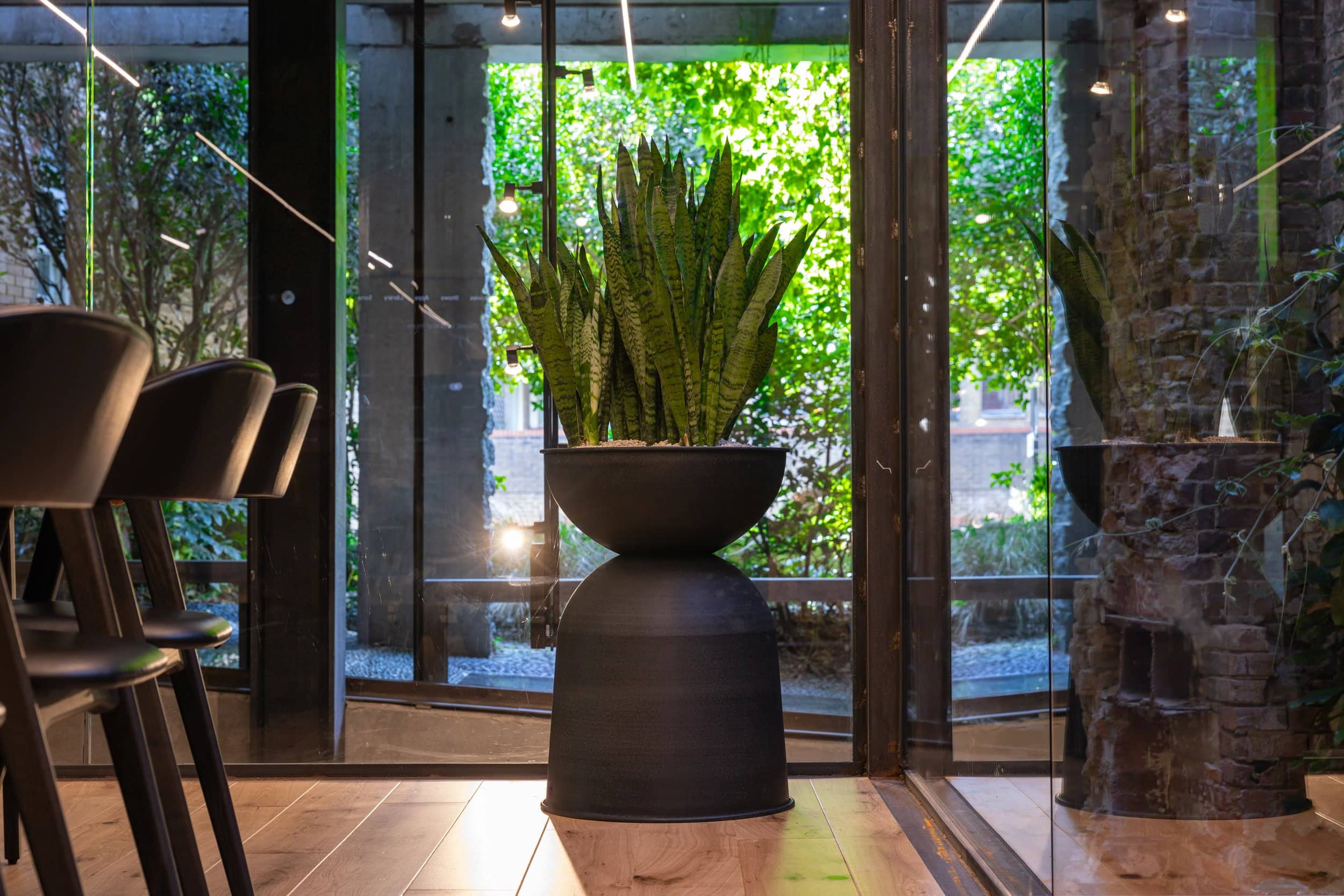 A modern indoor space with a large potted plant on a wooden floor, surrounded by glass walls revealing lush greenery outside.
