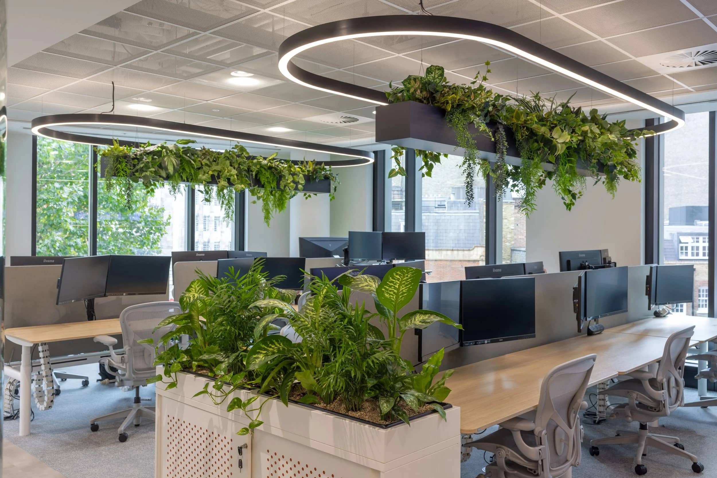 Modern office space with large windows, multiple desks, computer monitors, ergonomic chairs, and abundant greenery hanging from the ceiling.