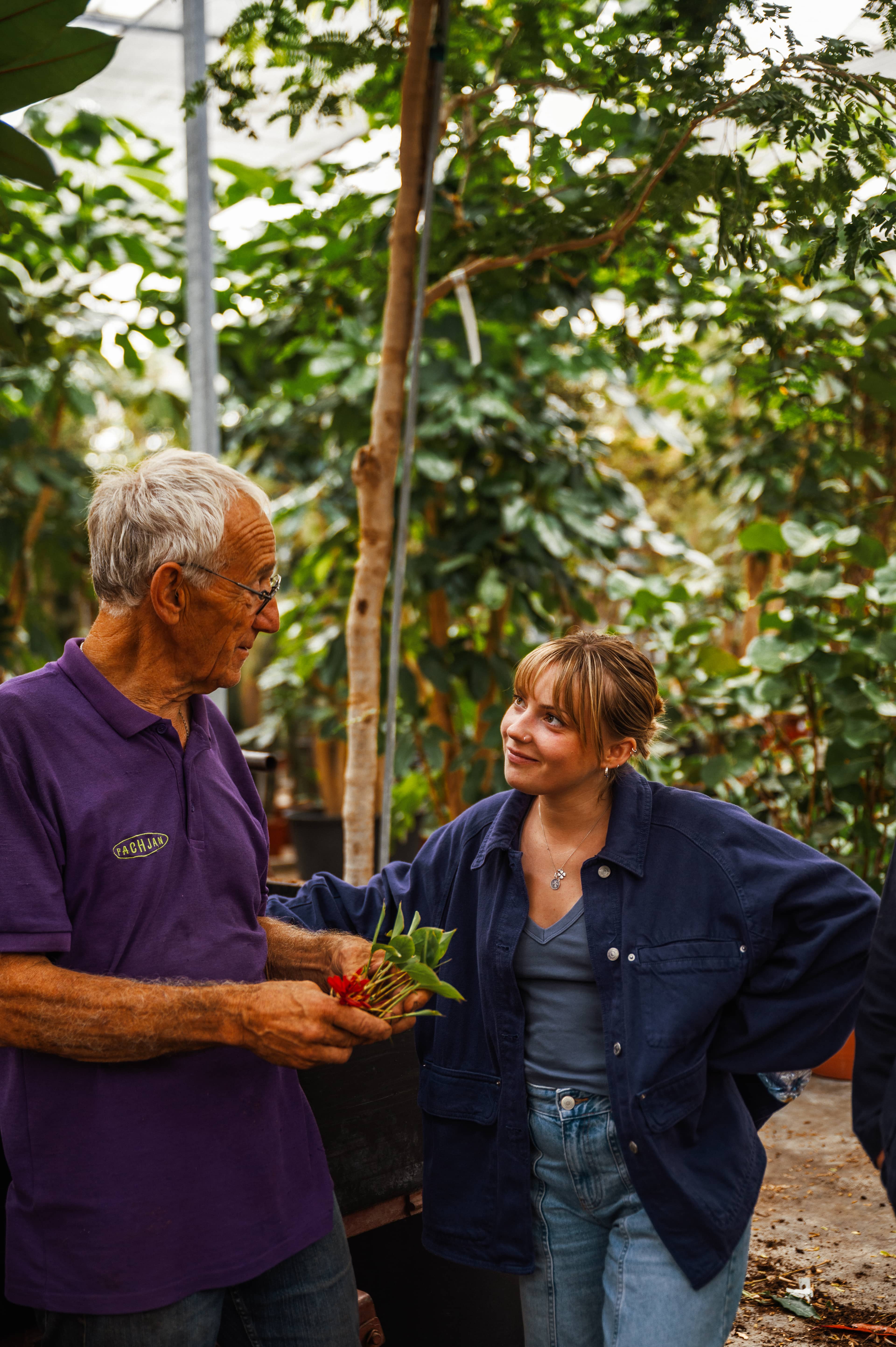 An elderly man and a young woman converse in a lush greenhouse, surrounded by greenery. The man holds a small potted plant.
