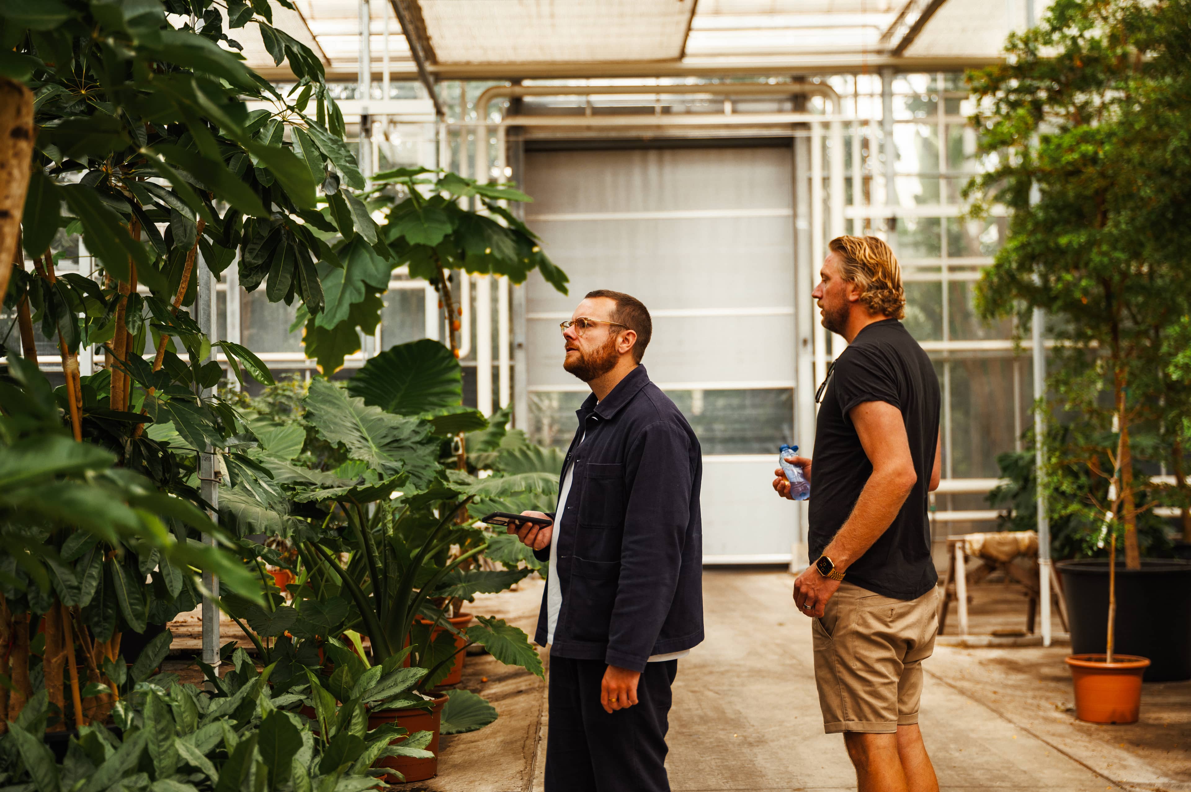 Two men stand in a greenhouse, observing large potted plants. One holds a phone, and the other holds a drink. Natural light filters through.