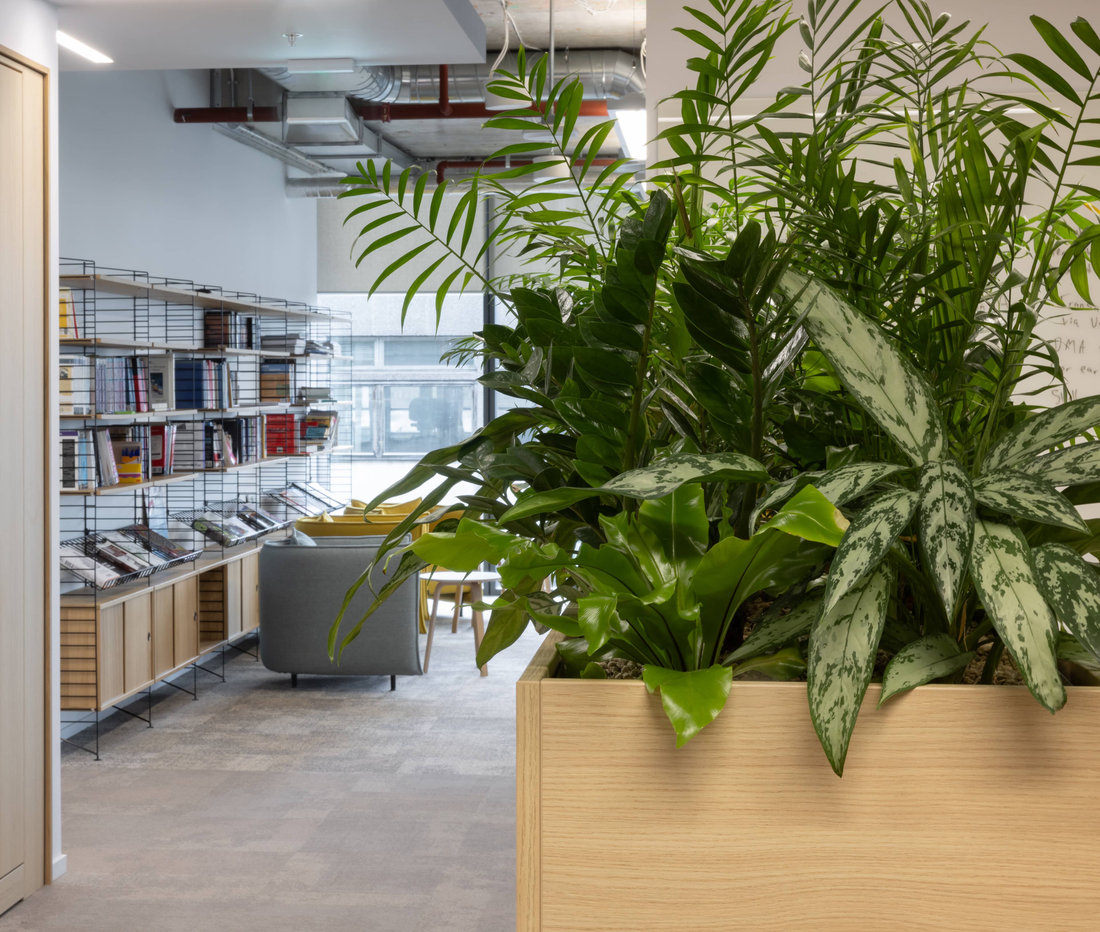 A view with lush planting in the foreground and a reading room in the background