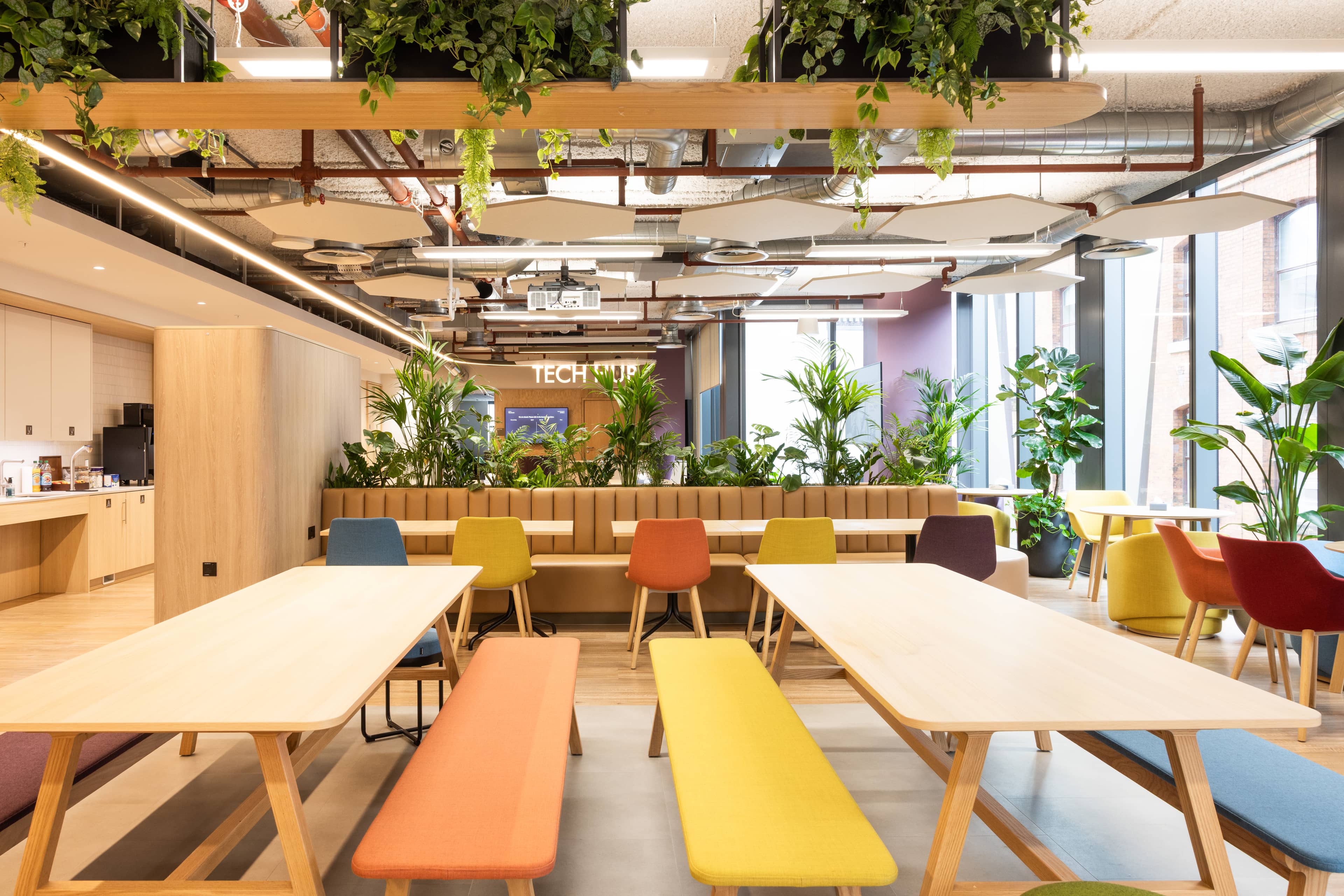 A colourful office breakout space with lush planting all round