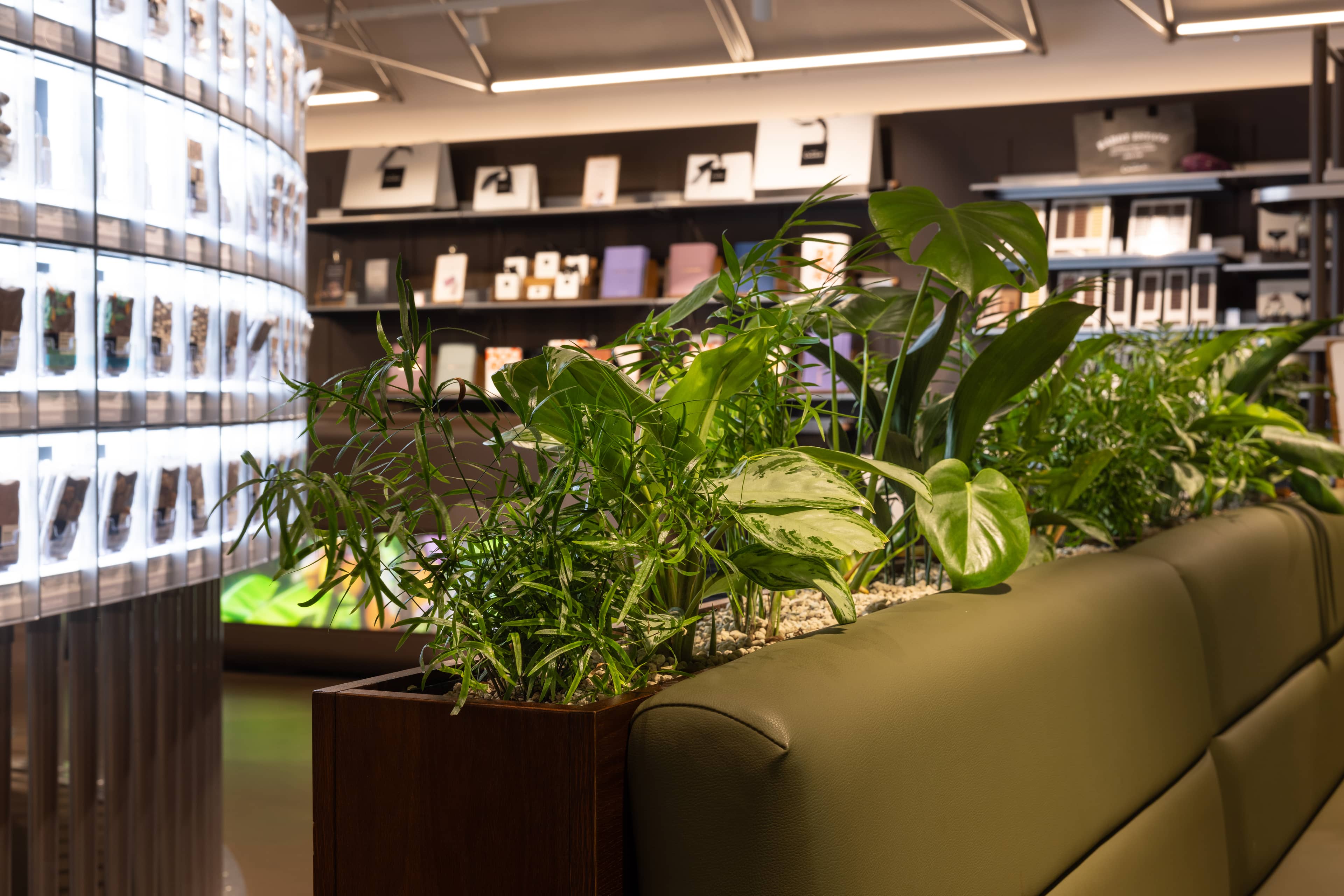 Furniture planters in a retail store