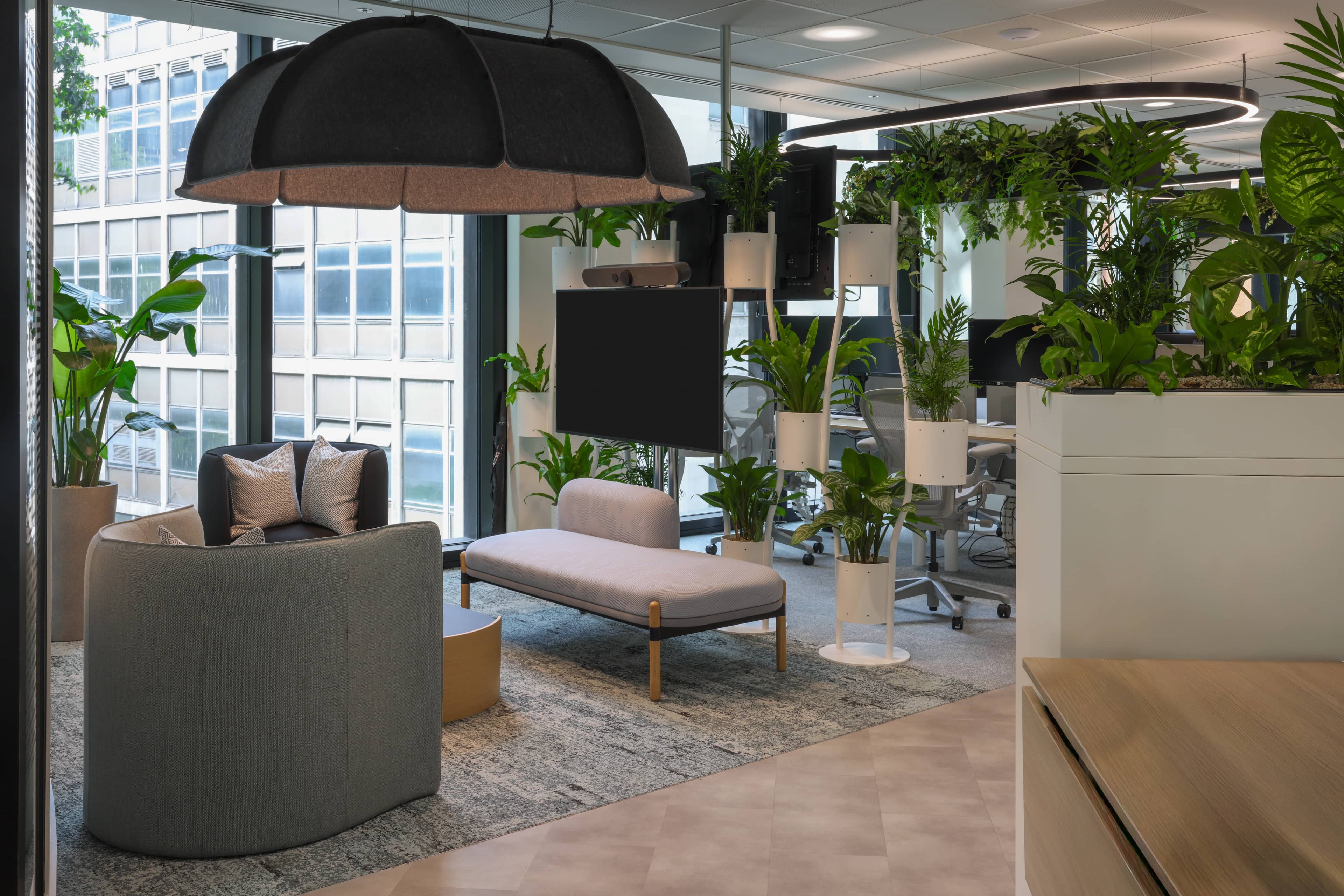 An office filled with plants that create a green dividing wall