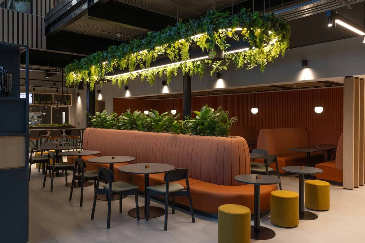 A Communcal office breakout space with well lit overhead plants and integrated lush furniture planting
