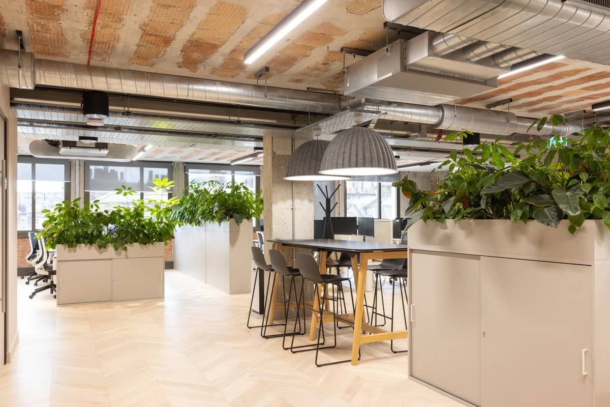 A bright, well lit office, with lush desktop planting on top