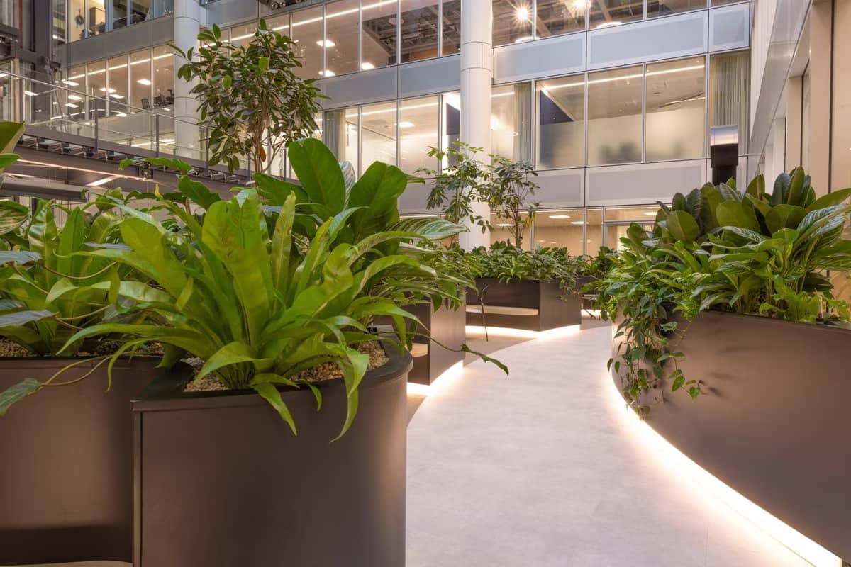 Curving walkway lined by lush planting in an office atrium