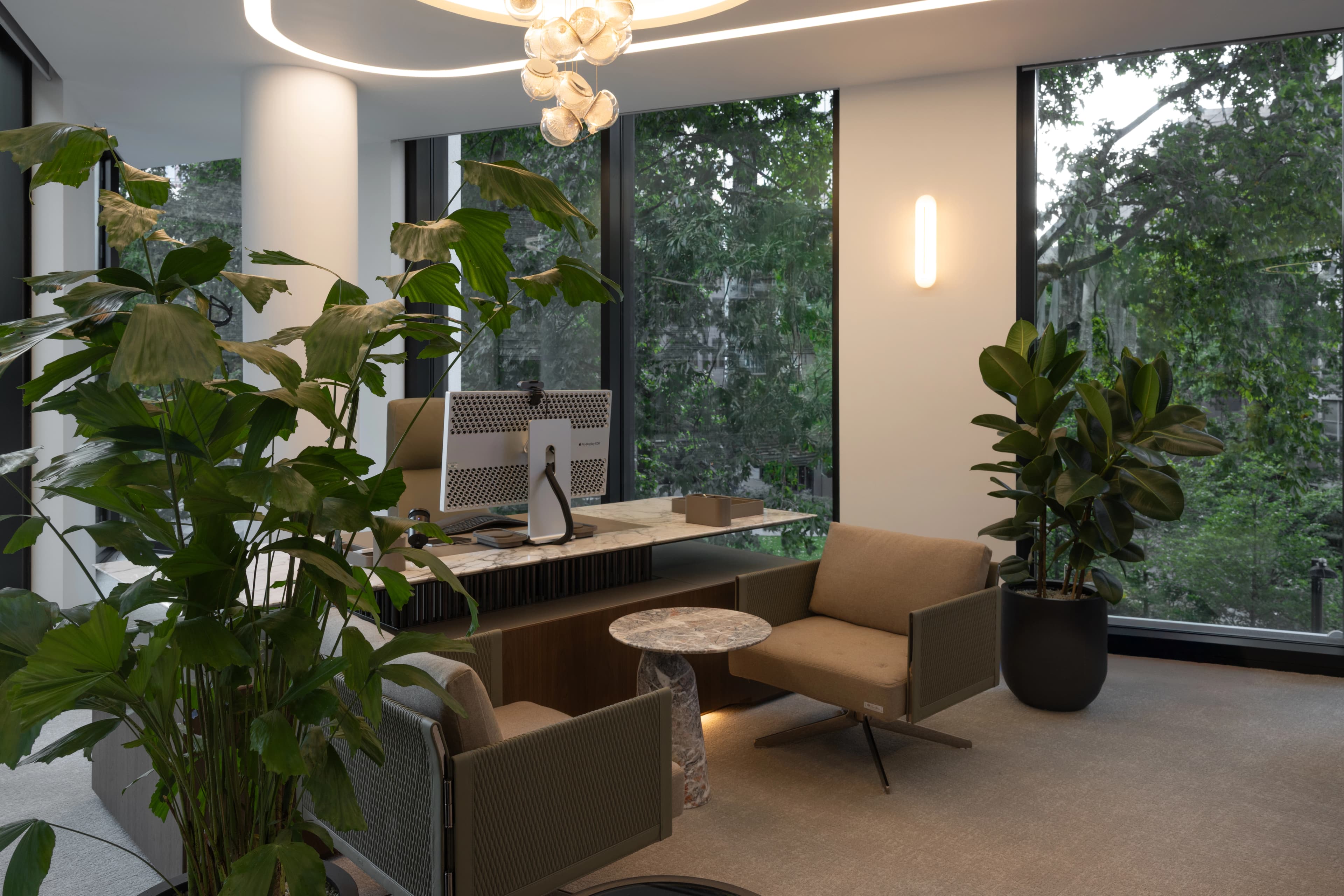 A smoothly lit office with large floorstanding ficus trees, and greenery outside the window.